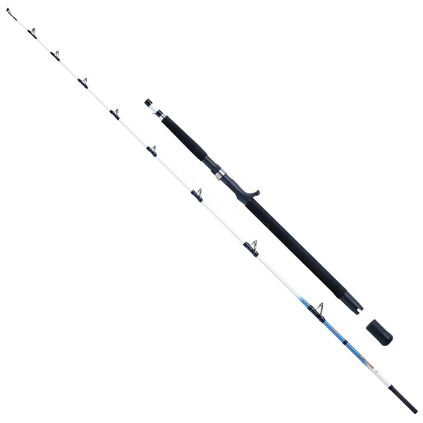 prút WFT Sensea 2,1m / 30-200g