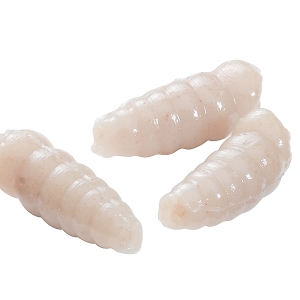 Kostný červ Berkley PowerBait Power Maggot