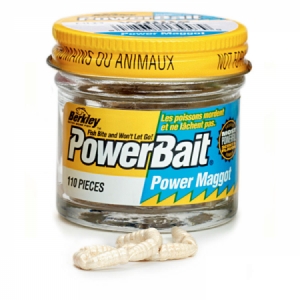 Kostný červ Berkley PowerBait Power Maggot