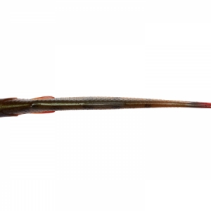 Gumená nástraha Savage Gear Craft Dying Minnow 10cm